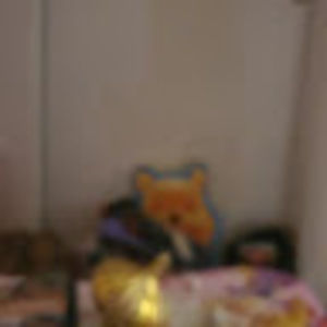 Meet your Posher, Zenaida